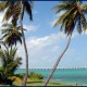 Passeio de Iate em Key West 2