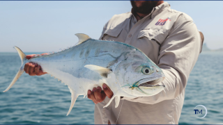 Pesca no Dubai