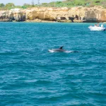 Passeio em Família no Algarve