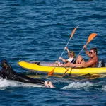 Efoil Portimao Lagos