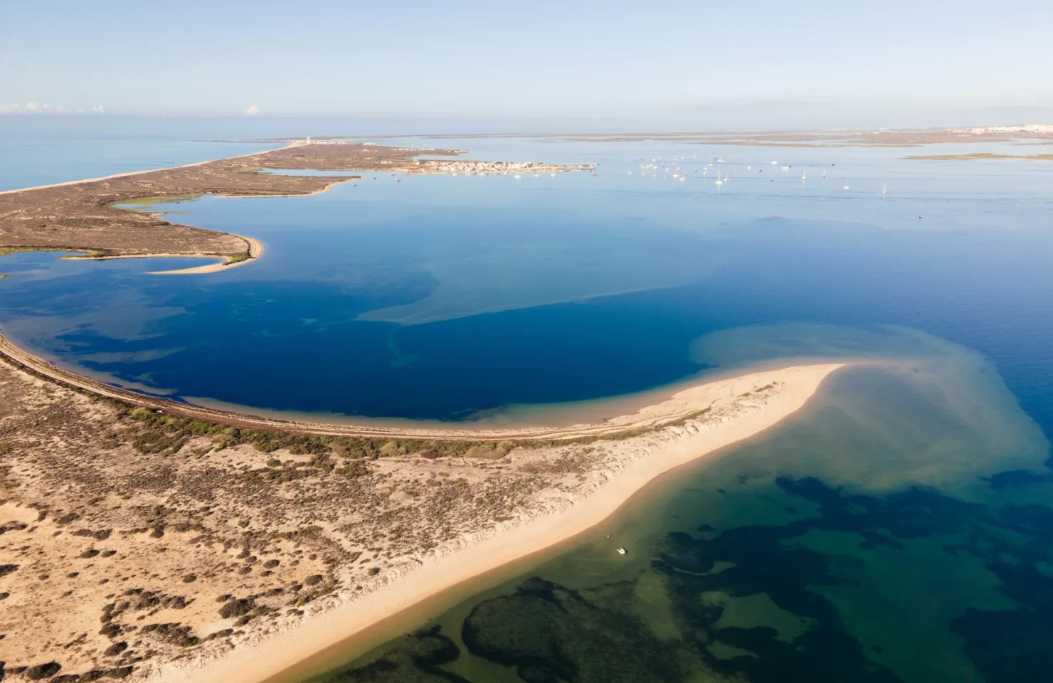 Passeios à Ria Formosa de Barco