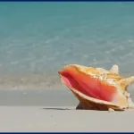 Relaxing days in The Exumas